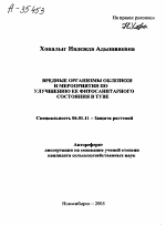 ВРЕДНЫЕ ОРГАНИЗМЫ ОБЛЕПИХИ И МЕРОПРИЯТИЯ ПО УЛУЧШЕНИЮ ЕЕ ФИТОСАНИТАРНОГО СОСТОЯНИЯ В ТУВЕ - тема автореферата по сельскому хозяйству, скачайте бесплатно автореферат диссертации