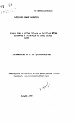 Озимая рожь и яровая пшеница на расчетных фонах удобрений и пестицидов на серой лесной почве - тема автореферата по сельскому хозяйству, скачайте бесплатно автореферат диссертации