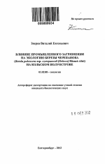 Влияние промышленного загрязнения на экологию березы Черепанова (Betula pubescens ssp. czerepanovii (Orlova) Hӓmet-Ahti) на Кольском полуострове - тема автореферата по биологии, скачайте бесплатно автореферат диссертации