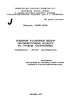 ВЛИЯНИЕ РАЗЛИЧНЫХ ВИДОВ ПРОМЕЖУТОЧНЫХ КУЛЬТУР НА УРОЖАИ ХЛОПЧАТНИКА - тема автореферата по сельскому хозяйству, скачайте бесплатно автореферат диссертации