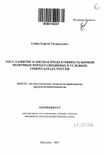 Рост, развитие и мясная продуктивность бычков молочных пород разводимых в условиях Северо-Запада России - тема автореферата по сельскому хозяйству, скачайте бесплатно автореферат диссертации