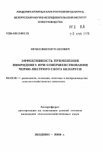 Эффективность применения инбридинга при совершенствовании черно-пестрого скота Беларуси - тема автореферата по сельскому хозяйству, скачайте бесплатно автореферат диссертации