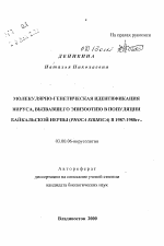 Молекулярно-генетическая идентификация вируса, вызвавшего эпизоотопию в популяции байкальской нерпы (Phoca sibirica) в 1987-1988 гг. - тема автореферата по биологии, скачайте бесплатно автореферат диссертации
