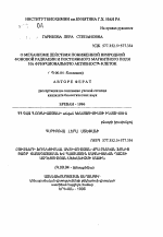 О механизме действия пониженной природной фоновой радиации и постоянного магнитного поля на функциональную активность клеток - тема автореферата по биологии, скачайте бесплатно автореферат диссертации