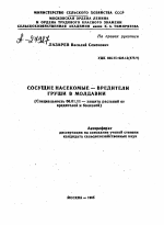 СОСУЩИЕ НАСЕКОМЫЕ — ВРЕДИТЕЛИ ГРУШИ В МОЛДАВИИ - тема автореферата по сельскому хозяйству, скачайте бесплатно автореферат диссертации