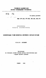 Заключительные стадии биосинтеза хлорофилла в листьях растений - тема автореферата по биологии, скачайте бесплатно автореферат диссертации