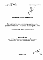 РОСТ, РАЗВИТИЕ И СЕМЕННАЯ ПРОДУКТИВНОСТЬ РЕДЬКИ МАСЛИЧНОЙ В УСЛОВИЯХ НИЗКОГОРИЙ АЛТАЯ - тема автореферата по сельскому хозяйству, скачайте бесплатно автореферат диссертации