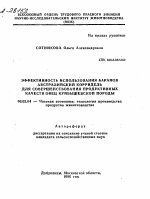 ЭФФЕКТИВНОСТЬ ИСПОЛЬЗОВАНИЯ БАРАНОВ АВСТРАЛИЙСКИЙ КОРРИДЕЛЬ ДЛЯ СОВЕРШЕНСТВОВАНИЯ ПРОДУКТИВНЫХ КАЧЕСТВ ОВЕЦ КУЙБЫШЕВСКОЙ ПОРОДЫ - тема автореферата по сельскому хозяйству, скачайте бесплатно автореферат диссертации