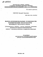 МОРФО-ФУНКЦИОНАЛЬНЫЕ ОСОБЕННОСТИ ФОРМИРОВАНИЯ МУСКУЛАТУРЫ КРУПНОГО РОГАТОГО СКОТА - тема автореферата по сельскому хозяйству, скачайте бесплатно автореферат диссертации