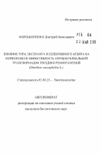 Влияние типа экспланта и селективного агента на морфогенез и эффективность агробактериальной трансформации гвоздики ремонтантной (Dianthus caryophyllus L.) - тема автореферата по биологии, скачайте бесплатно автореферат диссертации