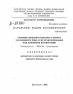 СОЛЕВЫЕ НОВООБРАЗОВАНИЯ В ПОЧВАХ ЗАСОЛЕННОГО РЯДА И ИХ ТРАНСФОРМАЦИЯ ПОД ВЛИЯНИЕМ МЕЛИОРАЦИИ - тема автореферата по сельскому хозяйству, скачайте бесплатно автореферат диссертации