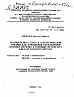 ПЕРСПЕКТИВНЫЕ СОРТА И АГРОТЕХНИЧЕСКИЕ ПРИЕМЫ ДЛЯ ПОВЫШЕНИЯ УРОЖАЙНОСТИ СТОЛОВОЙ МОРКОВИ В УСЛОВИЯХ МУССОННОГО КЛИМАТА ДАЛЬНЕГО ВОСТОКА - тема автореферата по сельскому хозяйству, скачайте бесплатно автореферат диссертации