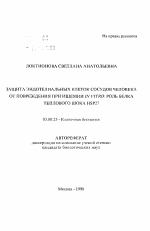 Защита эндотелиальных клеток сосудов челока от повреждения при ишемии in vitro: роль белка теплового шока HSP27 - тема автореферата по биологии, скачайте бесплатно автореферат диссертации