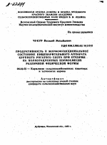 ПРОДУКТИВНОСТЬ И МОРФОФУНКЦИОНАЛЬНОЕ СОСТОЯНИЕ ПИЩЕВАРИТЕЛЬНОГО АППАРАТА КРУПНОГО РОГАТОГО СКОТА ПРИ ОТКОРМЕ НА ПОЛНОРАЦИОННЫХ КОРМОСМЕСЯХ РАЗЛИЧНОЙ ФИЗИЧЕСКОЙ ФОРМЫ - тема автореферата по сельскому хозяйству, скачайте бесплатно автореферат диссертации