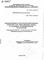 ПРОДУКТИВНЫЕ И ВОСПРОИЗВОДИТЕЛЬНЫЕ КАЧЕСТВА КУР МЯСО-ЯИЧНЫХ ПОРОД В УСЛОВИЯХ ПРОМЫШЛЕННОЙ ТЕХНОЛОГИИ - тема автореферата по сельскому хозяйству, скачайте бесплатно автореферат диссертации