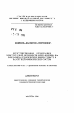 Пространственная организация электрической активности мозга кролика на фоне фармакологических вмешательств в работу нейрохимических систем - тема автореферата по биологии, скачайте бесплатно автореферат диссертации