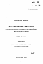 Офиостомовые грибы как компонент микробиоты насекомых-ксилофагов в хвойных лесах Средней Сибири - тема автореферата по биологии, скачайте бесплатно автореферат диссертации