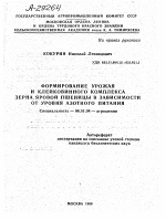 ФОРМИРОВАНИЕ УРОЖАЯ И КЛЕЙКОВИННОГО КОМПЛЕКСА ЗЕРНА.ЯРОВОЙ ПШЕНИЦЫ В ЗАВИСИМОСТИ ОТ УРОВНЯ АЗОТНОГО ПИТАНИЯ - тема автореферата по сельскому хозяйству, скачайте бесплатно автореферат диссертации