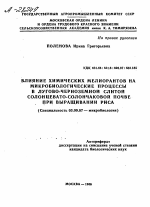 ВЛИЯНИЕ ХИМИЧЕСКИХ МЕЛИОРАНТОВ НА МИКРОБИОЛОГИЧЕСКИЕ ПРОЦЕССЫ В ЛУГОВО-ЧЕРНОЗЕМНОЙ СЛИТОЙ СОЛОНЦЕВАТО-СОЛОНЧАКОВОЙ ПОЧВЕ ПРИ ВЫРАЩИВАНИИ РИСА - тема автореферата по биологии, скачайте бесплатно автореферат диссертации