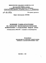 ВЛИЯНИЕ ГАММА-ИЗЛУЧЕНИЯ НА ХАРАКТЕР МОРФОБИОЛОГИЧЕСКИХ ИЗМЕНЕНИЙ У ОТДЕЛЬНЫХ ВИДОВ ЛУКА - тема автореферата по сельскому хозяйству, скачайте бесплатно автореферат диссертации