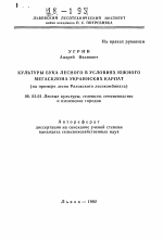 Культуры бука лесного в условиях южного мегасклона Украинских карпат (на примере лесов Раховского лесокомбината) - тема автореферата по сельскому хозяйству, скачайте бесплатно автореферат диссертации