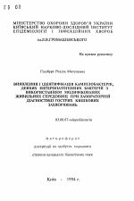 Выделение и идентификация кампилобактеров и некоторых энтеропатогенных бактерий с использованием модифицированных питательных сред при лабораторной диагностике острых кишечных заболеваний - тема автореферата по биологии, скачайте бесплатно автореферат диссертации