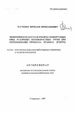 Эффективность нагула и откорма тонкорунных овец различных половозрастных групп при использовании препарата зеранола (РЭЛГРО) - тема автореферата по сельскому хозяйству, скачайте бесплатно автореферат диссертации