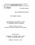 ВЫРАЩИВАНИЕ МОЛОЧНОГО СКОТА В УСЛОВИЯХ ЖАРКОГО КЛИМАТА - тема автореферата по сельскому хозяйству, скачайте бесплатно автореферат диссертации