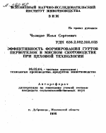 ЭФФЕКТИВНОСТЬ ФОРМИРОВАНИЯ ГУРТОВ ПЕРВОТЕЛОК В МЯСНОМ СКОТОВОДСТВЕ ПРИ ЦЕХОВОЙ ТЕХНОЛОГИИ - тема автореферата по сельскому хозяйству, скачайте бесплатно автореферат диссертации