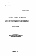 Семенное размножение люпина желтого (LUPINUS LUTEUSL.) в условиях Мордовии - тема автореферата по биологии, скачайте бесплатно автореферат диссертации