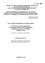 Изучение коллекционных сортообразцов и селекционных линий салата в условиях Узбекистана - тема автореферата по сельскому хозяйству, скачайте бесплатно автореферат диссертации