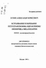 Встраивание и вырезание ретротранспозона МДГ4 в геноме DROSOPHILA MELANOGASTER - тема автореферата по биологии, скачайте бесплатно автореферат диссертации