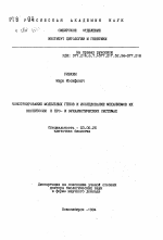 Конструирование модельных генов и исследование механизмов их экспрессии в про- и эукариотических системах - тема автореферата по биологии, скачайте бесплатно автореферат диссертации