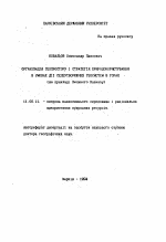 Органiзацiя геопростору i стратегiя природокористування в умовах дii селеутворюючих геосистем в горах (на прикладi Великого Кавказу) - тема автореферата по географии, скачайте бесплатно автореферат диссертации