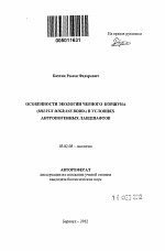 Особенности экологии черного коршуна (Milvus migrans Bodd.) в условиях антропогенных ландшафтов - тема автореферата по биологии, скачайте бесплатно автореферат диссертации