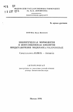 Экологическая морфология и популяционная биология представителей подкласса Polypodiidae - тема автореферата по биологии, скачайте бесплатно автореферат диссертации