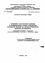 ВЛИЯНИЕ ЧАСТИЧНОЙ ЗАМЕНЫ В КОМБИКОРМАХ ЗЕРНА КУКУРУЗЫ ТРАВЯНОЙ МУКОЙ НА ПРОДУКТИВНОСТЬ ЦИПЛЯТ-БРОЙЛЕРОВ - тема автореферата по сельскому хозяйству, скачайте бесплатно автореферат диссертации