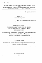 Генофонд родов Microcerasus Webb Emend. Spach, Padellus Vass. и Cerasus Mill. для селекции (Систематика, морфология, биология и исходный материал) - тема автореферата по биологии, скачайте бесплатно автореферат диссертации