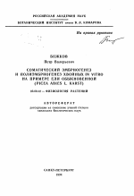 Соматический эмбриогенез и полиэмбриогенез хвойных IN VITRO на примере ели обыкновенной (PICEA ABIES L. KARST) - тема автореферата по биологии, скачайте бесплатно автореферат диссертации