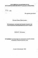 Почвенные азотфиксирующие водоросли в фитоценозах Большеземельской тундры - тема автореферата по биологии, скачайте бесплатно автореферат диссертации