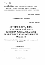 Устойчивость риса к прибрежной мухе (Ephydra macellaria Egg.) в условиях Кзыл-Ординской области - тема автореферата по сельскому хозяйству, скачайте бесплатно автореферат диссертации