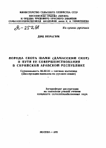 ПОРОДА СКОТА ШАМИ (ДАМАССКИЙ СКОТ) И ПУТИ ЕЕ СОВЕРШЕНСТВОВАНИЯ В СИРИЙСКОЙ АРАБСКОЙ РЕСПУБЛИКЕ - тема автореферата по сельскому хозяйству, скачайте бесплатно автореферат диссертации