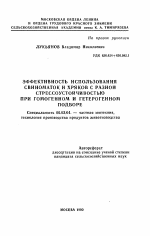 Эффективность использования свиноматок и хряков с разной стрессоустойчивостью при гомогенном и гетерогенном подборе - тема автореферата по сельскому хозяйству, скачайте бесплатно автореферат диссертации