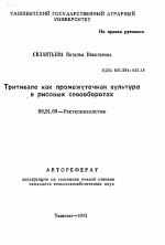 Тритикале как промежуточная культура в рисовых севооборотах - тема автореферата по сельскому хозяйству, скачайте бесплатно автореферат диссертации