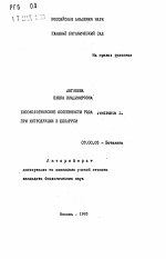 Биоэкологические особенности рода Juniperus L. при интродукции в Беларуси - тема автореферата по биологии, скачайте бесплатно автореферат диссертации