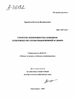 СТРУКТУРА ИЗМЕНЧИВОСТИ, СЕЛЕКЦИЯ И СЕМЕНОВОДСТВО СОСНЫ ОБЫКНОВЕННОЙ В СИБИРИ - тема автореферата по сельскому хозяйству, скачайте бесплатно автореферат диссертации