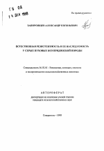 Естественная резистентность и ее наследуемость у серых пуховых коз придонской породы - тема автореферата по сельскому хозяйству, скачайте бесплатно автореферат диссертации