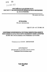 Ключевые компоненты системы микросомального окисления в сетчатке и коре головного мозга в норме и при экстремальных состояниях сетчатки - тема автореферата по биологии, скачайте бесплатно автореферат диссертации