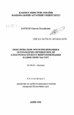 Окислительное фосфорилирование в митохондриях печени при воздействии электромагнитного излучения крайне высоких частот. - тема автореферата по биологии, скачайте бесплатно автореферат диссертации