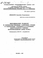 ВЫРАЩИВАНИЕ ПОДВОЕВ И КОРНЕСОБСТВЕННЫХ САЖЕНЦЕВ ГРУШИ В ПЛЕНОЧНЫХ ТЕПЛИЦАХ В УСЛОВИЯХ ЦЕНТРАЛЬНОГО РАЙОНА НЕЧЕРНОЗЕМНОЙ ЗОНЫ РСФСР - тема автореферата по сельскому хозяйству, скачайте бесплатно автореферат диссертации